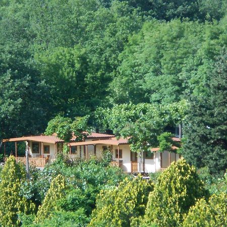 Campeggio Pian Dei Boschi ピエトラ・リーグレ エクステリア 写真